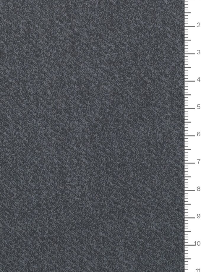 C0640 ARGENTOJACQ dis.5179