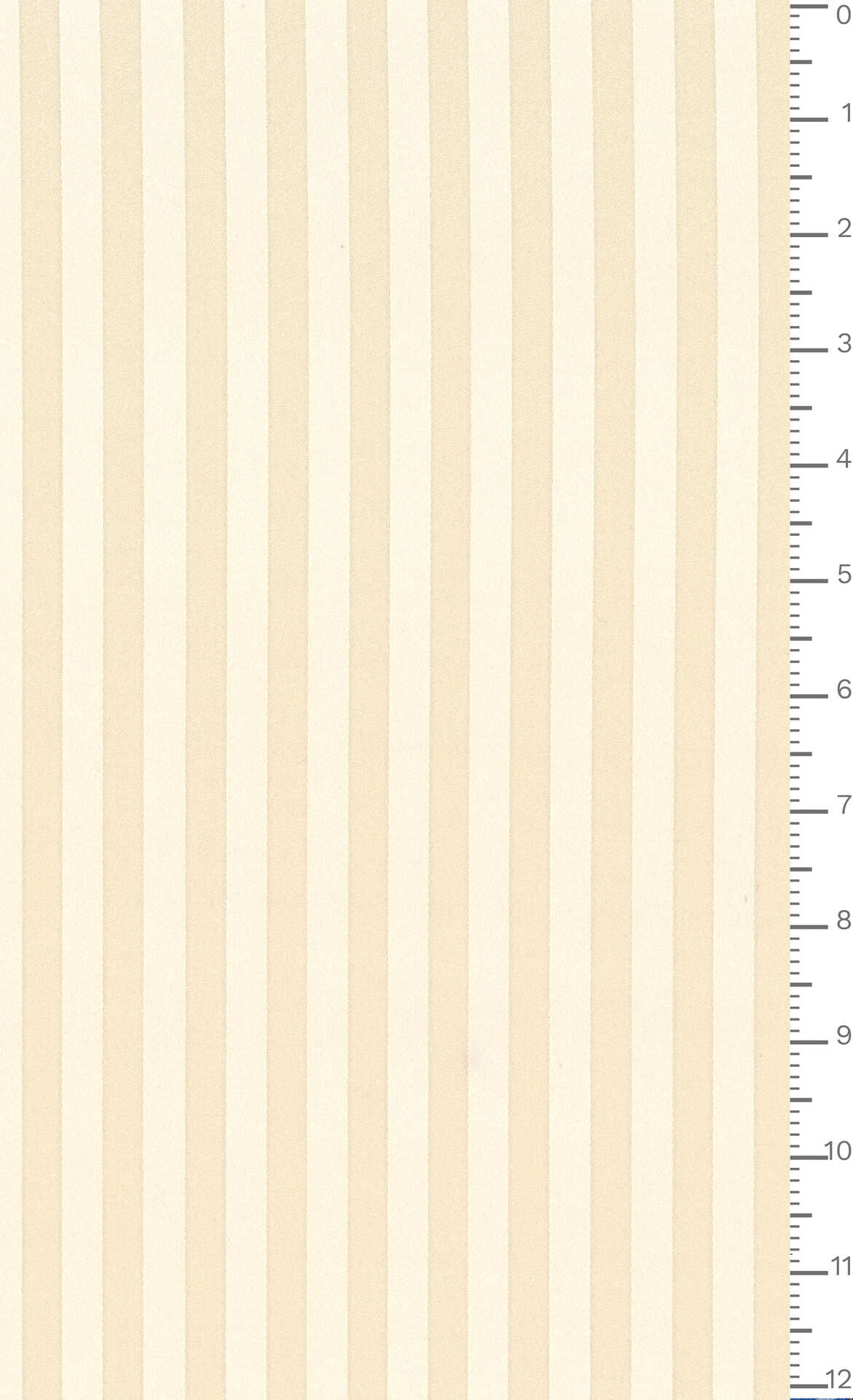 J7640 DIS 1734 ECOSTRETCHJACQ.GRS