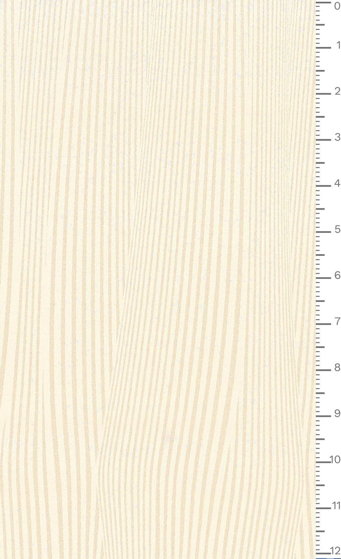 J7640 DIS 5936 ECOSTRETCHJACQ.GRS