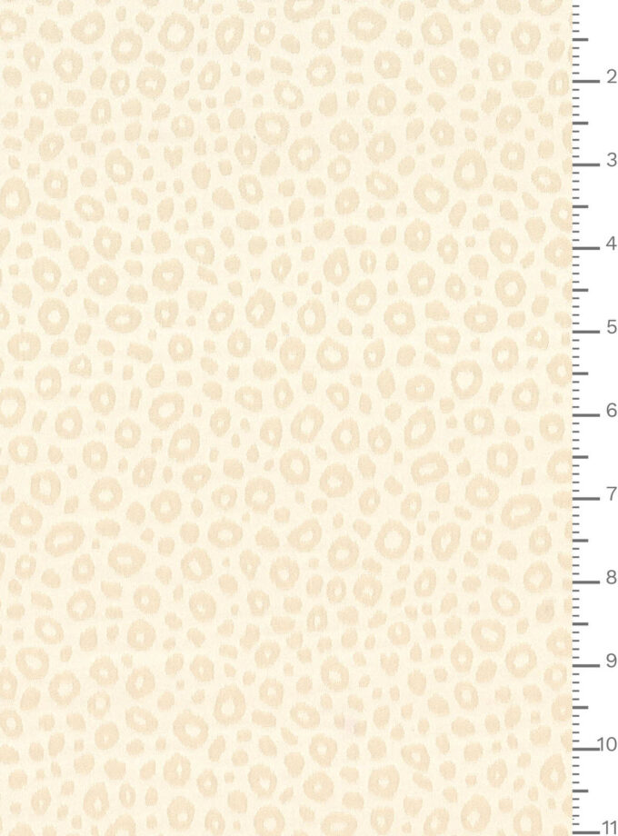 J7640 DIS 5937 ECOSTRETCHJACQ.GRS