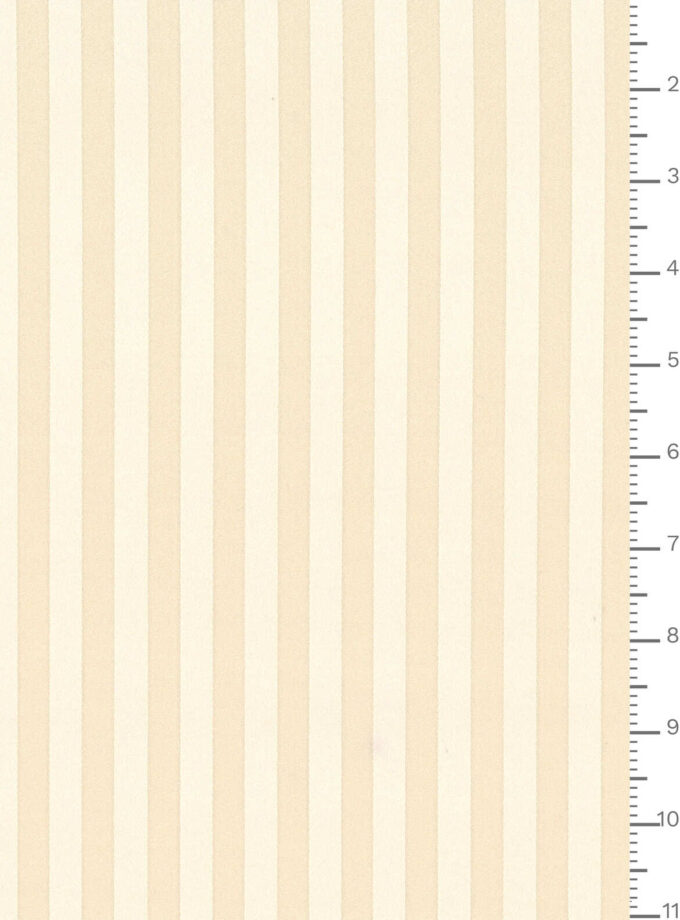 J7640 DIS 1734 ECOSTRETCHJACQ.GRS