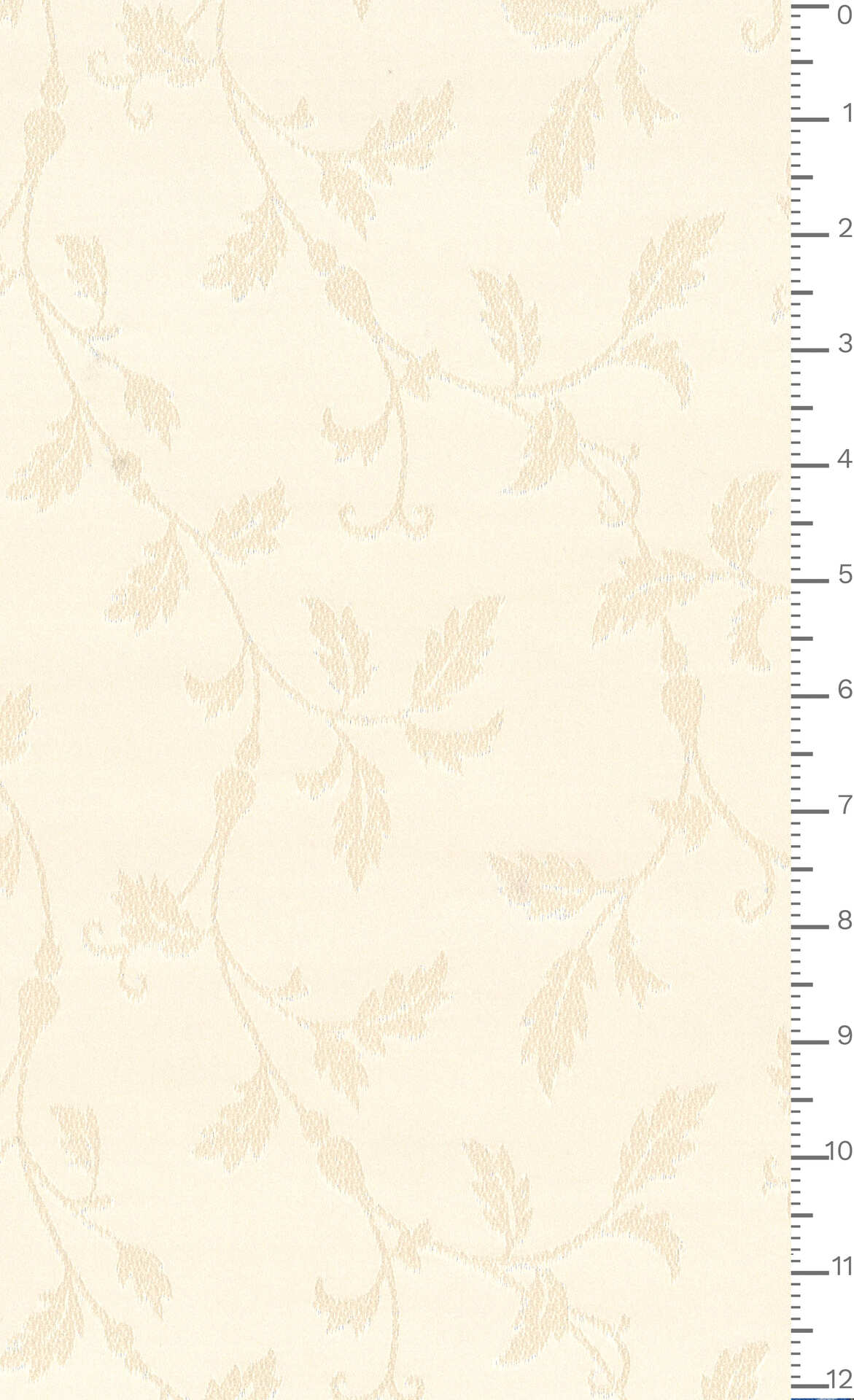 J7640 DIS 2219 ECOSTRETCHJACQ.GRS