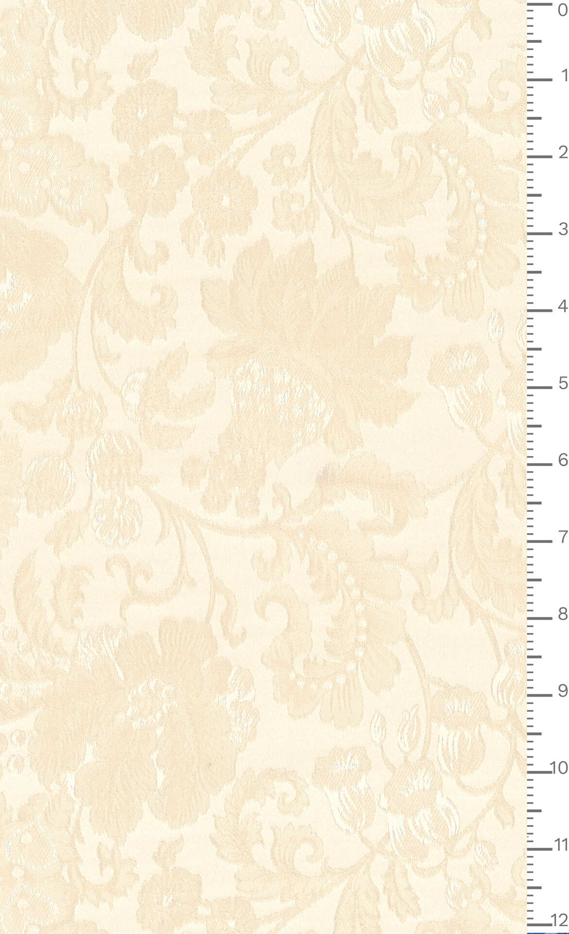 J7640 DIS 5934 ECOSTRETCHJACQ.GRS