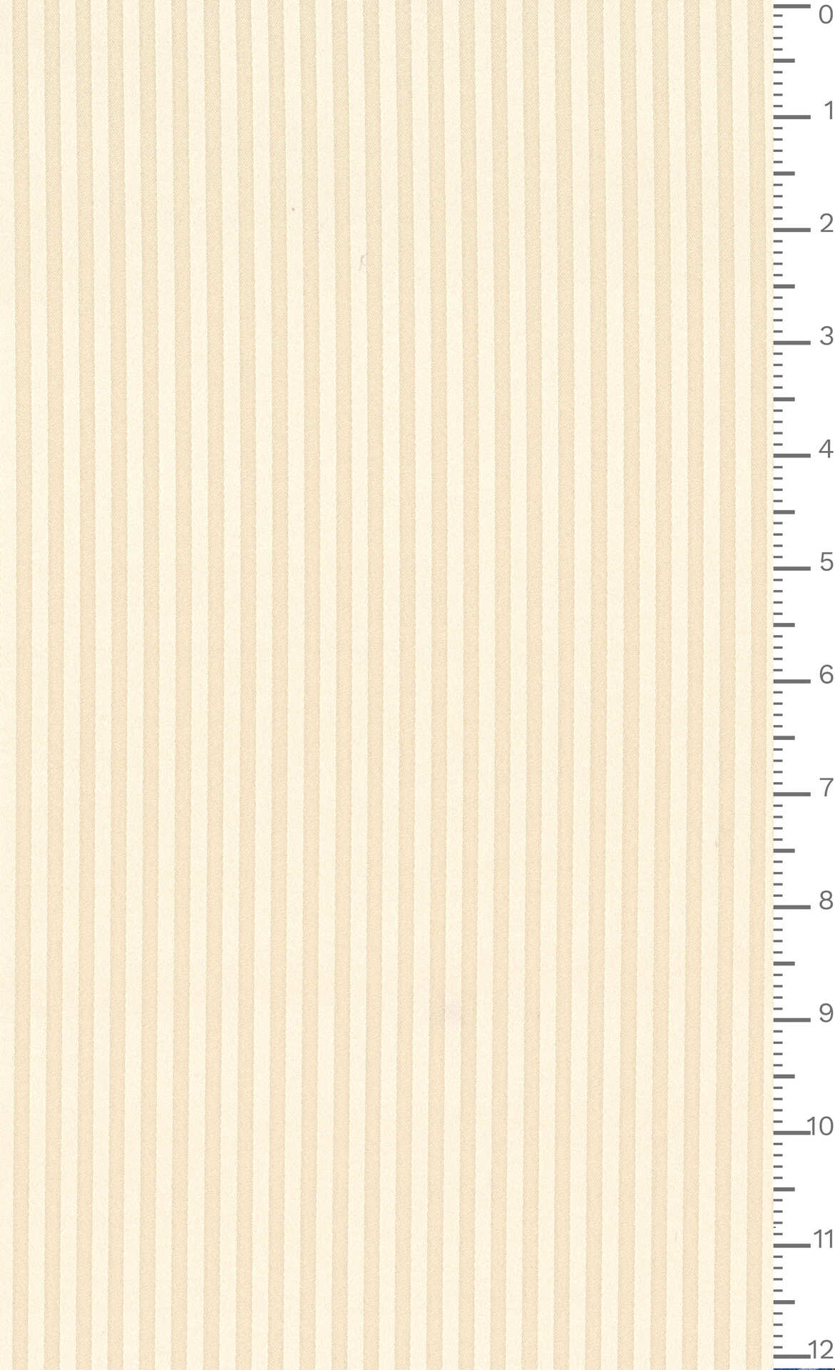 J7640 DIS 5935 ECOSTRETCHJACQ.GRS