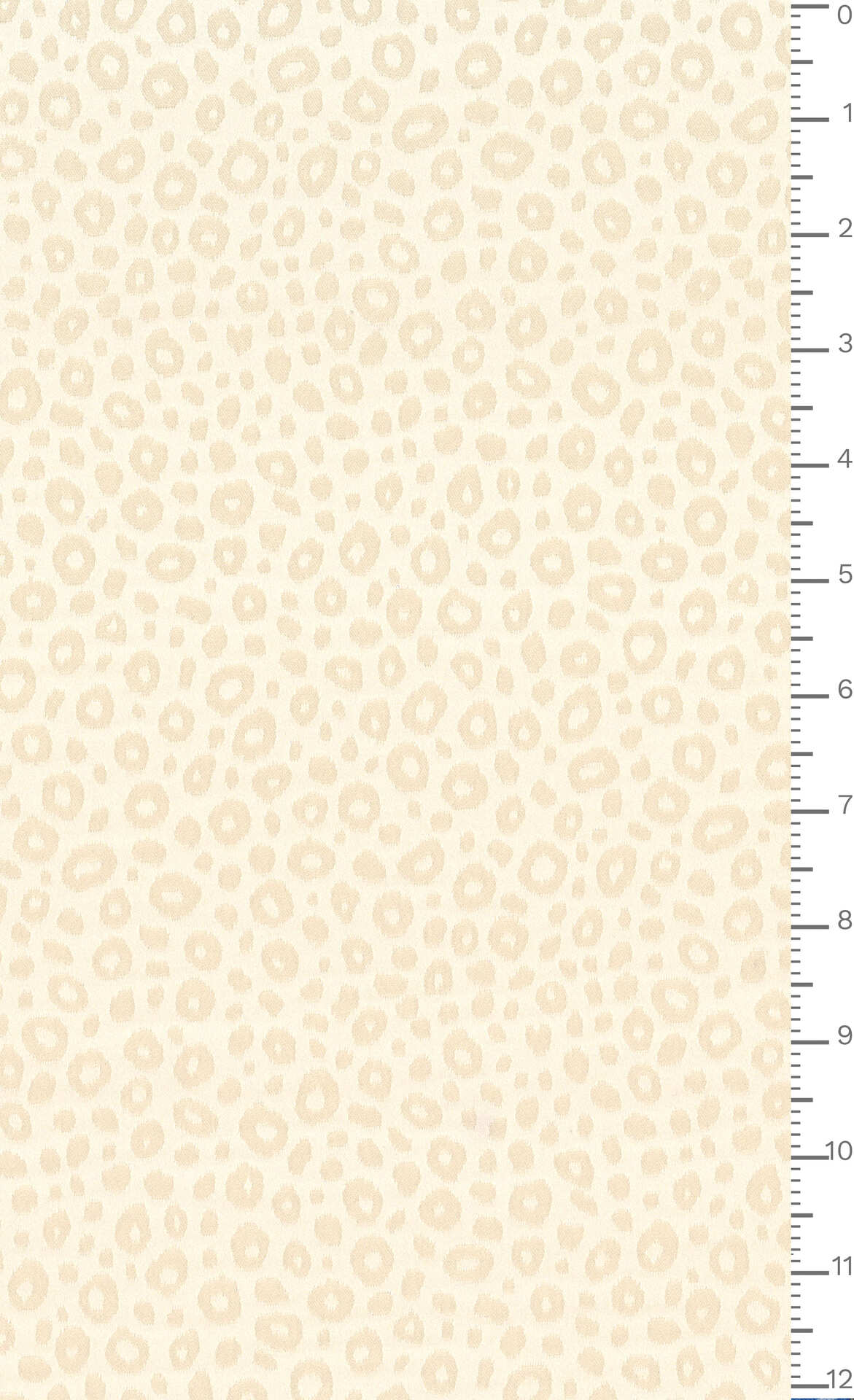 J7640 DIS 5937 ECOSTRETCHJACQ.GRS