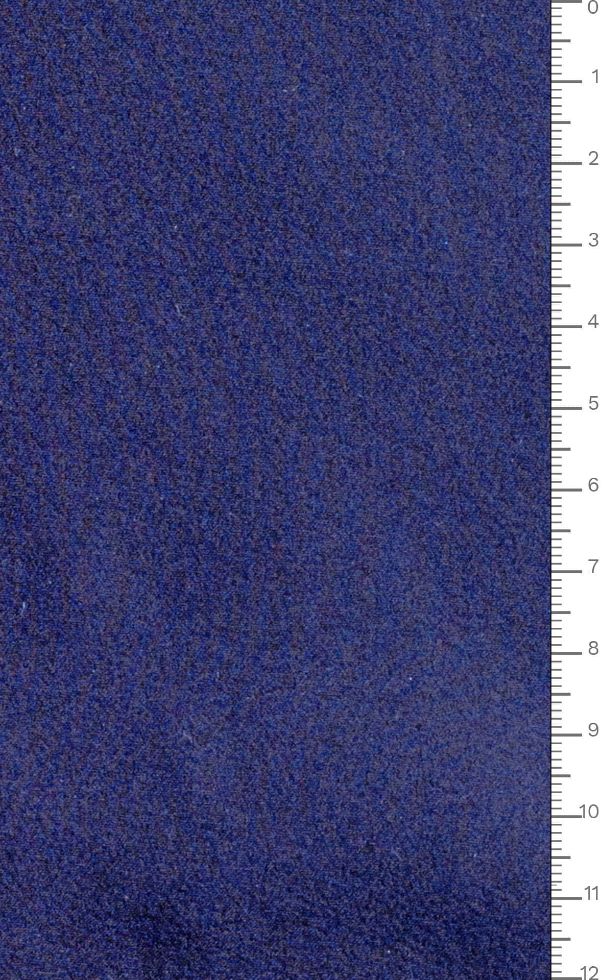 9A419 9S DELFINO-FOTO