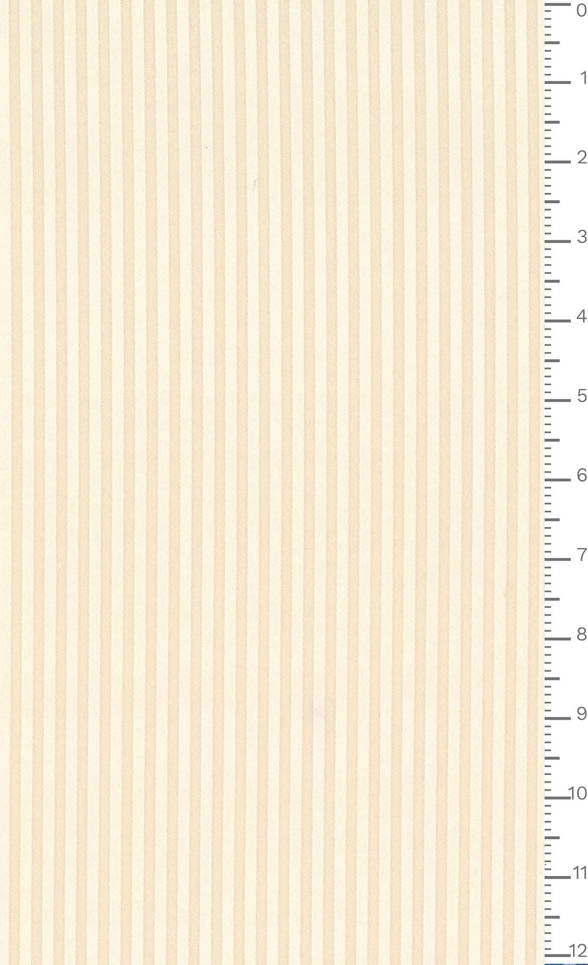 J7640 DIS 5935 ECOSTRETCHJACQ.GRS
