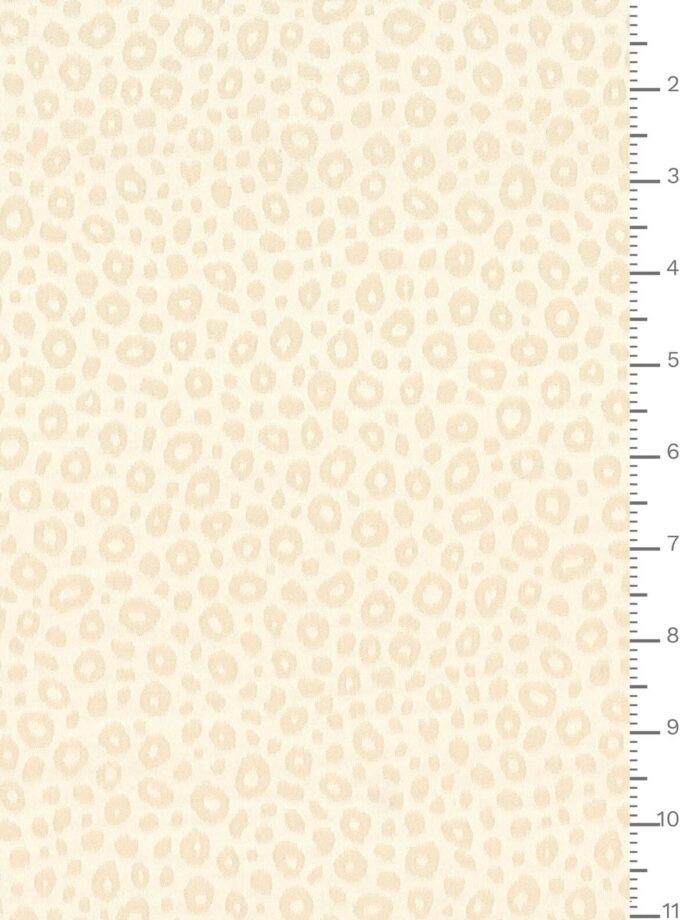 J7640 DIS 5937 ECOSTRETCHJACQ.GRS
