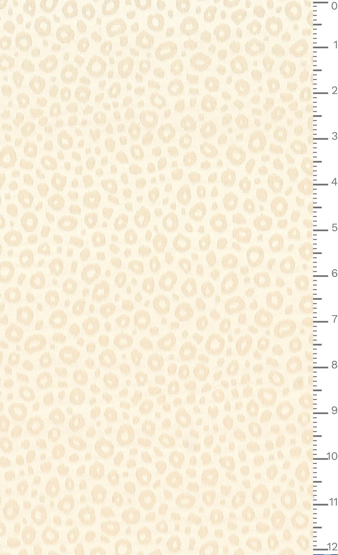 J7640 DIS 5937 ECOSTRETCHJACQ.GRS